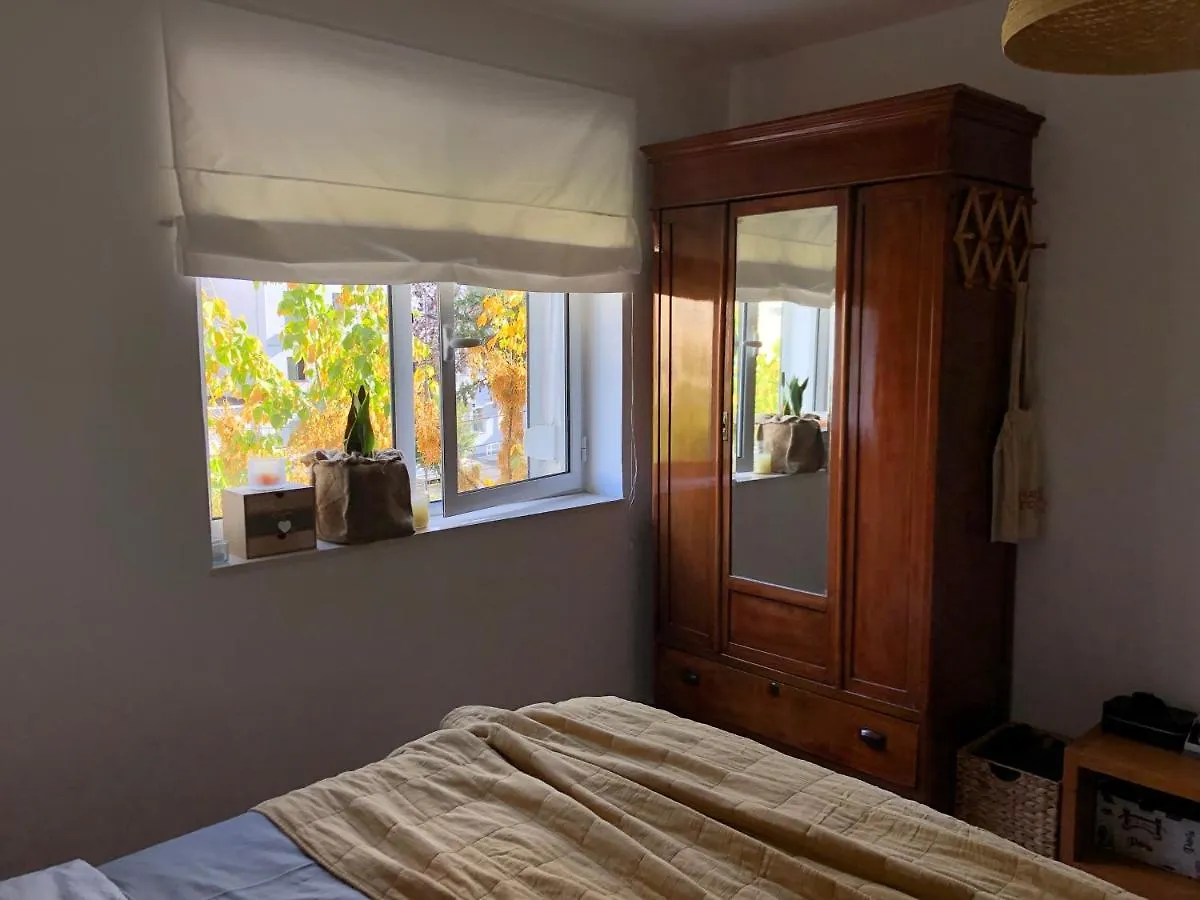 Midcentury Modern 1 Bedroom Apartment In Tirana